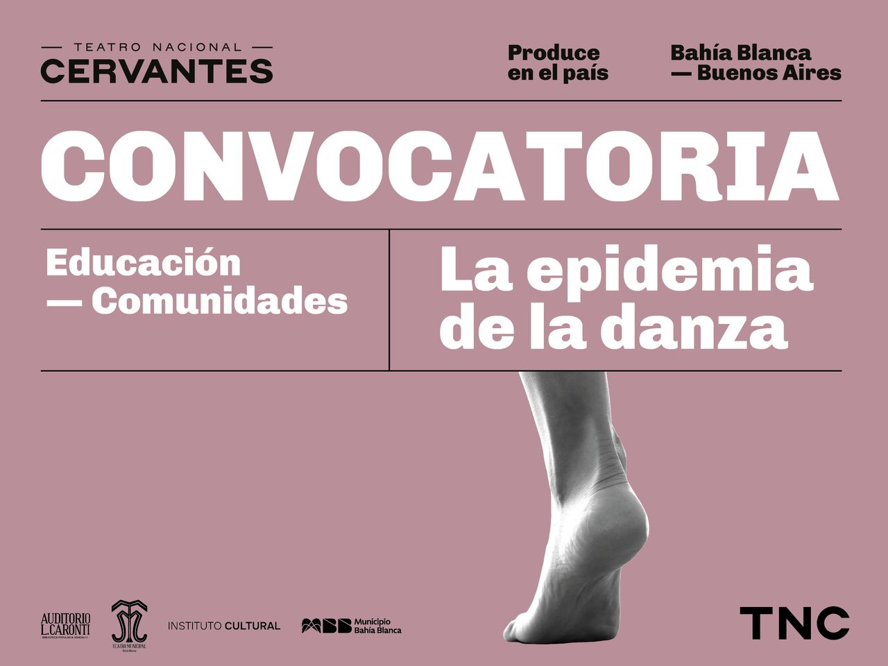 FUNCIONES PARA INSTITUCIONES EDUCATIVAS Y COMUNIDADES